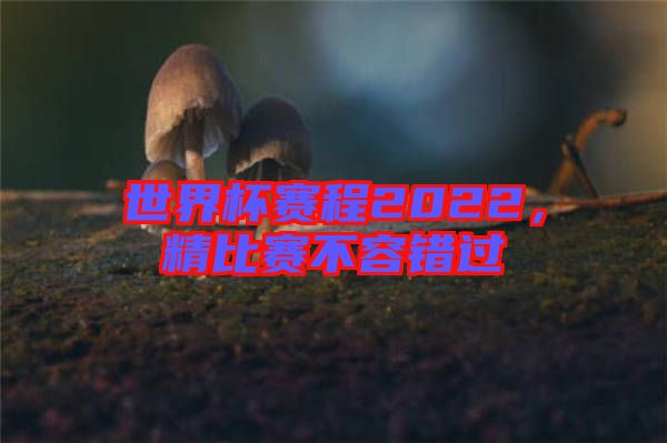 世界杯賽程2022，精比賽不容錯(cuò)過(guò)