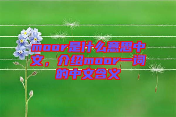 moor是什么意思中文，介紹moor一詞的中文含義