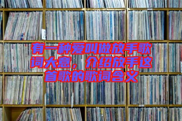有一種愛(ài)叫做放手歌詞大意，介紹放手這首歌的歌詞含義