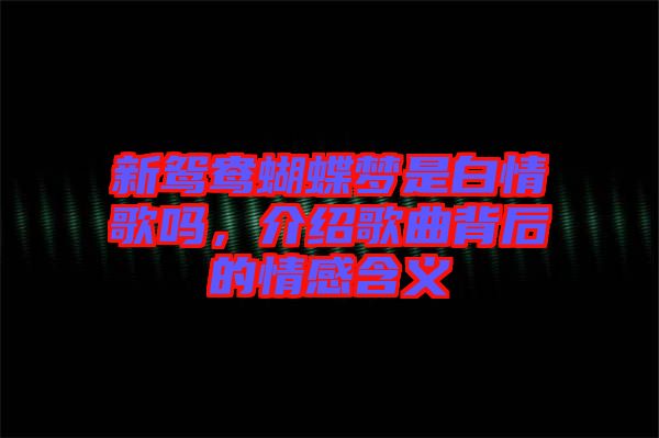 新鴛鴦蝴蝶夢是白情歌嗎，介紹歌曲背后的情感含義