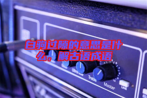 白駒過(guò)隙的意思是什么，解古語(yǔ)成語(yǔ)