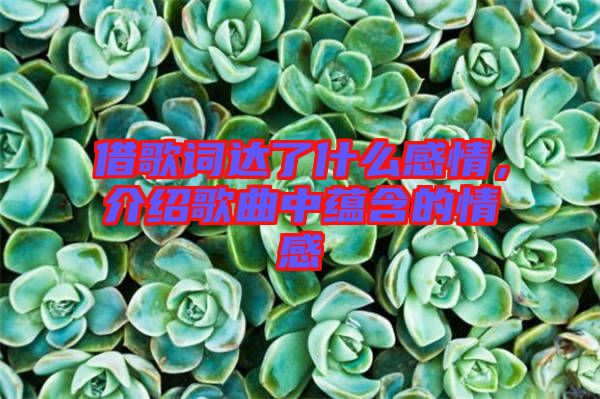 借歌詞達了什么感情，介紹歌曲中蘊含的情感