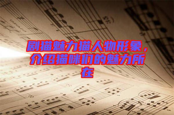 劇貓魅力貓人物形象，介紹貓咪們的魅力所在