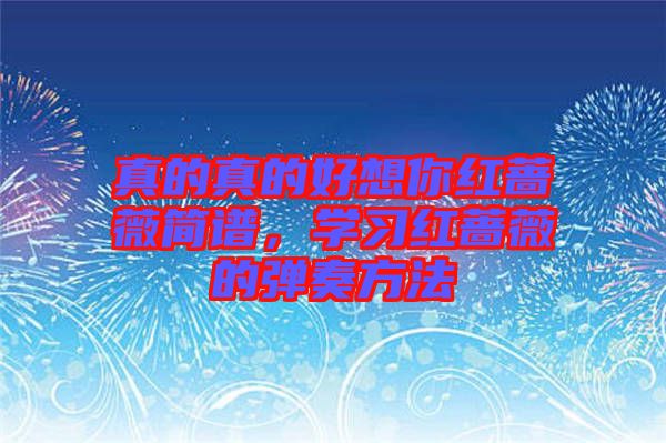 真的真的好想你紅薔薇簡(jiǎn)譜，學(xué)習(xí)紅薔薇的彈奏方法