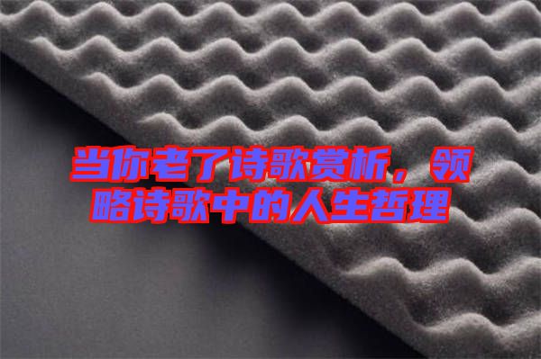 當(dāng)你老了詩(shī)歌賞析，領(lǐng)略詩(shī)歌中的人生哲理