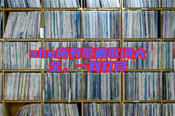 she所有歌曲歌詞大全，一網(wǎng)打盡