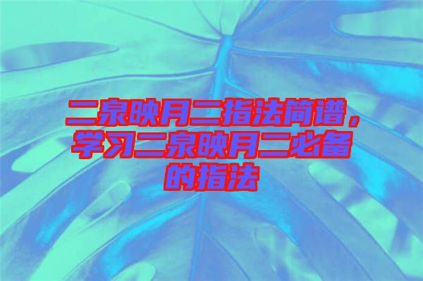 二泉映月二指法簡(jiǎn)譜，學(xué)習(xí)二泉映月二必備的指法