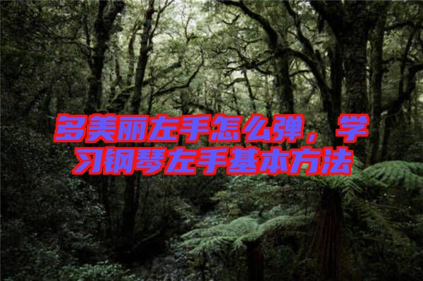 多美麗左手怎么彈，學(xué)習(xí)鋼琴左手基本方法