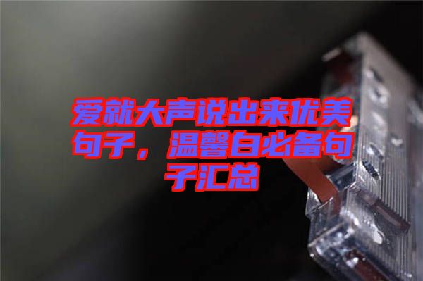 愛(ài)就大聲說(shuō)出來(lái)優(yōu)美句子，溫馨白必備句子匯總