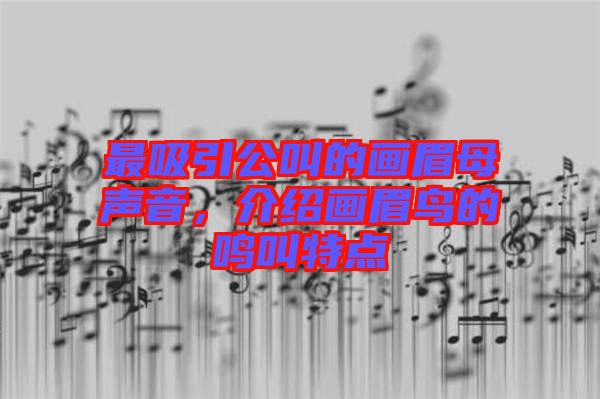 最吸引公叫的畫眉母聲音，介紹畫眉鳥的鳴叫特點(diǎn)