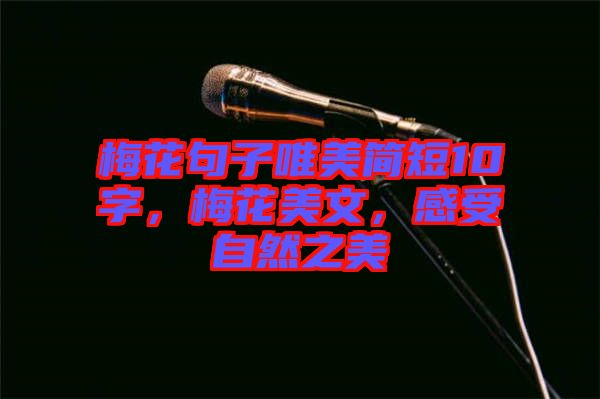 梅花句子唯美簡短10字，梅花美文，感受自然之美