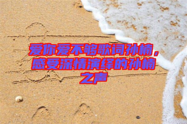 愛你愛不夠歌詞孫楠，感受深情演繹的孫楠之聲