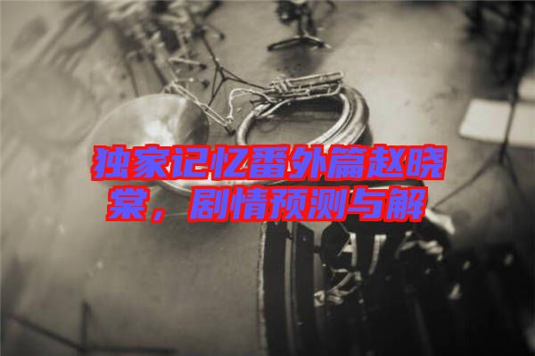 獨(dú)家記憶番外篇趙曉棠，劇情預(yù)測(cè)與解