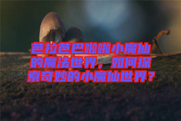 芭拉芭巴啦啦小魔仙的魔法世界，如何探索奇妙的小魔仙世界？