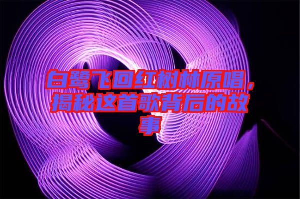 白鷺飛回紅樹(shù)林原唱，揭秘這首歌背后的故事