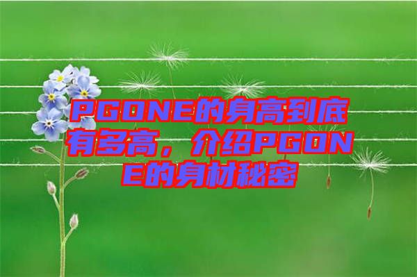 PGONE的身高到底有多高，介紹PGONE的身材秘密