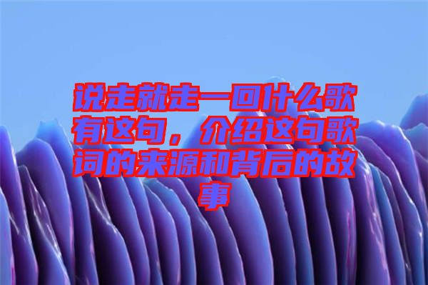 說走就走一回什么歌有這句，介紹這句歌詞的來源和背后的故事