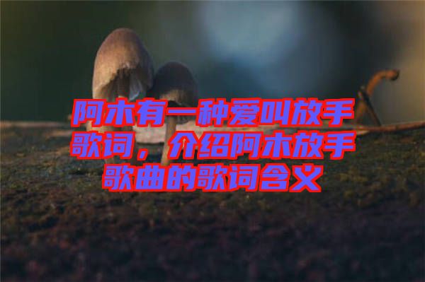 阿木有一種愛(ài)叫放手歌詞，介紹阿木放手歌曲的歌詞含義