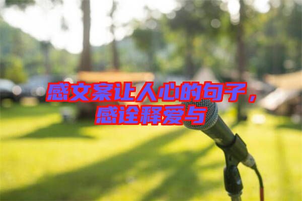 感文案讓人心的句子，感詮釋愛與