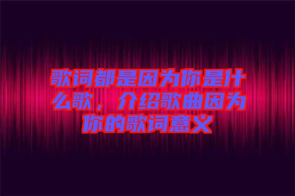 歌詞都是因?yàn)槟闶鞘裁锤?，介紹歌曲因?yàn)槟愕母柙~意義