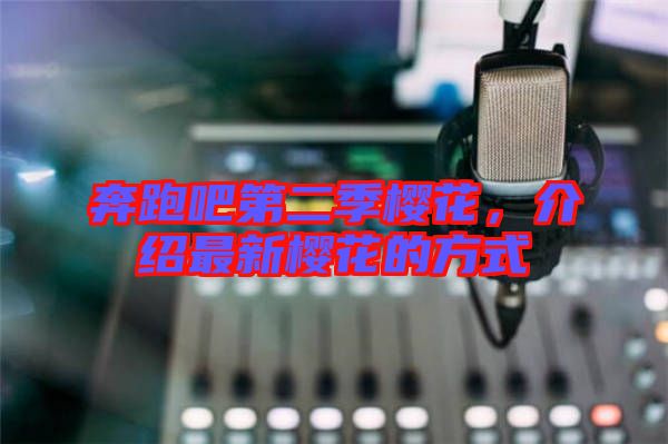 奔跑吧第二季櫻花，介紹最新櫻花的方式