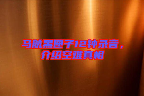 馬航黑匣子12鐘錄音，介紹空難真相