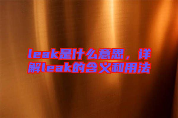 leak是什么意思，詳解leak的含義和用法