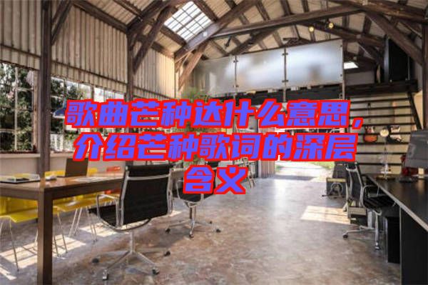 歌曲芒種達(dá)什么意思，介紹芒種歌詞的深層含義