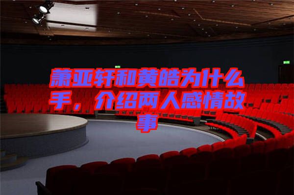 蕭亞軒和黃皓為什么手，介紹兩人感情故事