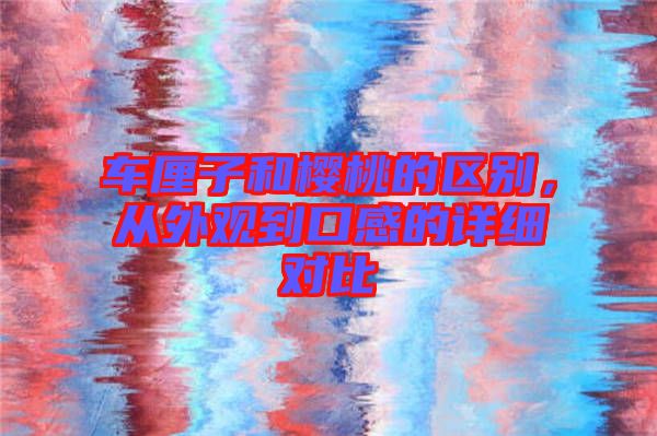 車?yán)遄雍蜋烟业膮^(qū)別，從外觀到口感的詳細(xì)對(duì)比