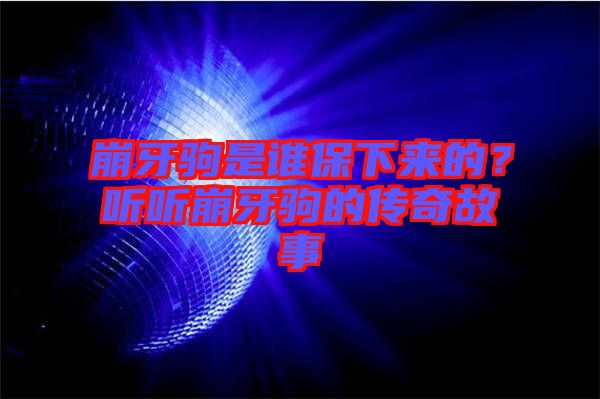 崩牙駒是誰保下來的？聽聽崩牙駒的傳奇故事