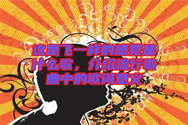 這是飛一樣的感覺是什么歌，介紹流行歌曲中的歌詞意義