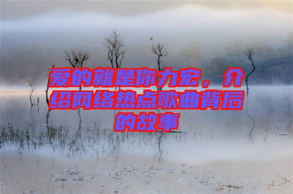愛(ài)的就是你力宏，介紹網(wǎng)絡(luò)熱點(diǎn)歌曲背后的故事