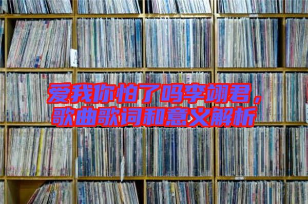 愛我你怕了嗎李翊君，歌曲歌詞和意義解析