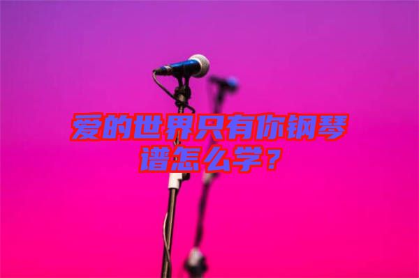 愛的世界只有你鋼琴譜怎么學(xué)？