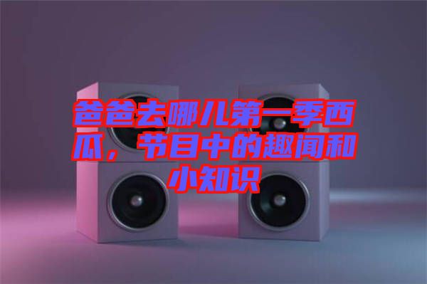 爸爸去哪兒第一季西瓜，節(jié)目中的趣聞和小知識