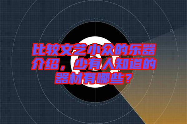 比較文藝小眾的樂器介紹，少有人知道的器材有哪些？