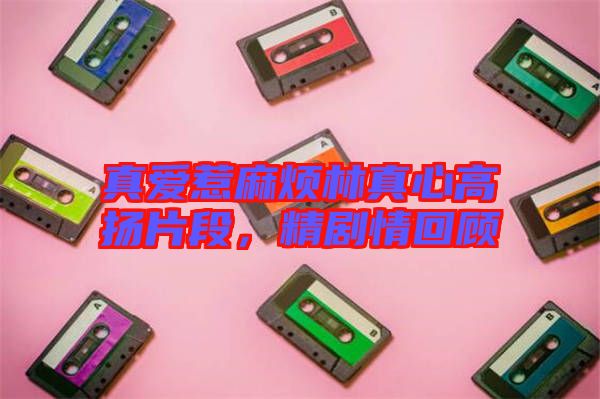 真愛惹麻煩林真心高揚片段，精劇情回顧