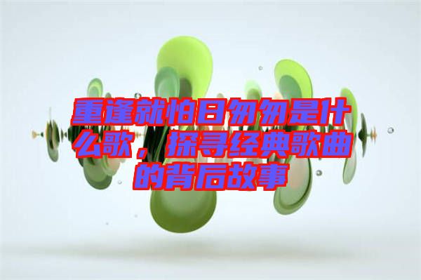 重逢就怕日匆匆是什么歌，探尋經(jīng)典歌曲的背后故事