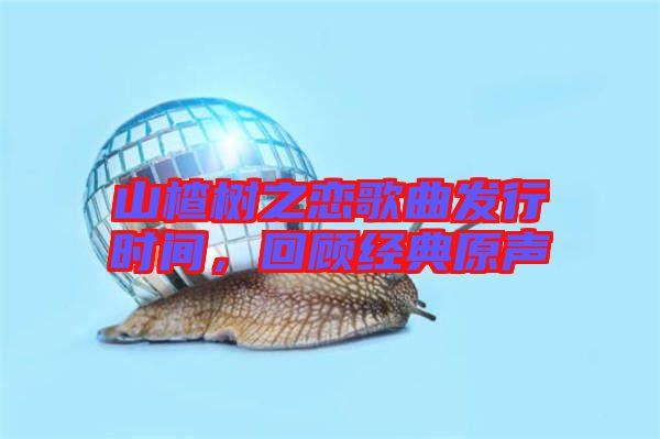 山楂樹之戀歌曲發(fā)行時間，回顧經(jīng)典原聲