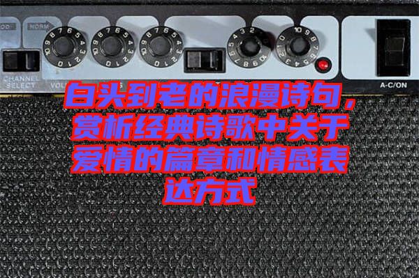 白頭到老的浪漫詩句，賞析經(jīng)典詩歌中關于愛情的篇章和情感表達方式