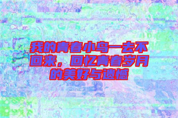 我的青春小鳥一去不回來，回憶青春歲月的美好與遺憾