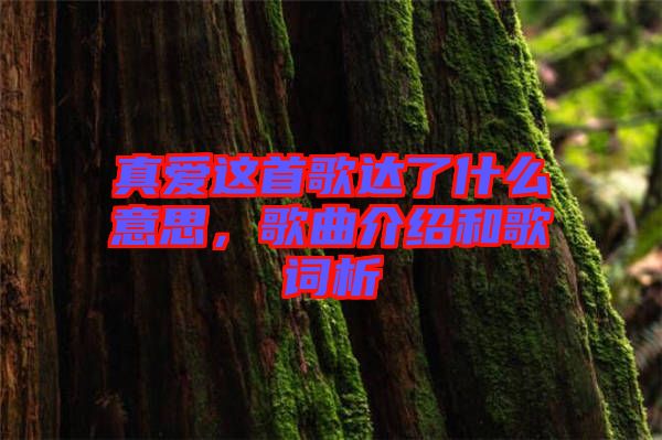 真愛(ài)這首歌達(dá)了什么意思，歌曲介紹和歌詞析
