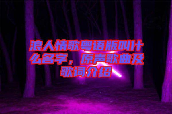 浪人情歌粵語版叫什么名字，原聲歌曲及歌詞介紹