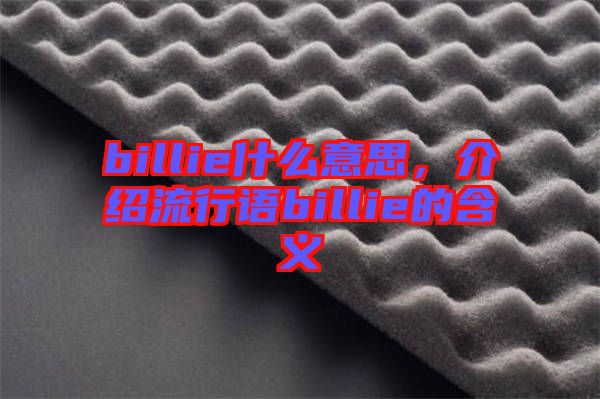 billie什么意思，介紹流行語billie的含義