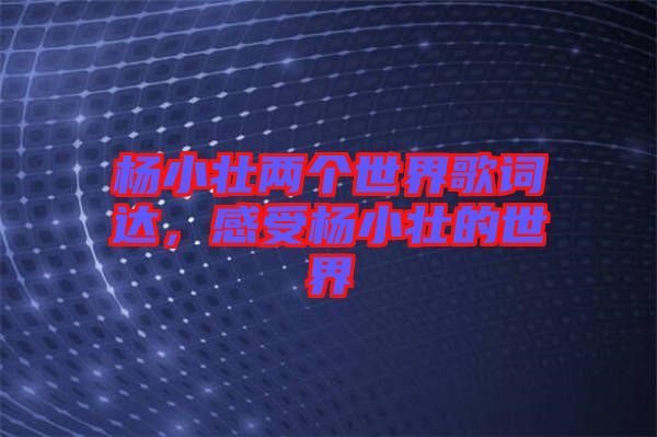 楊小壯兩個(gè)世界歌詞達(dá)，感受楊小壯的世界