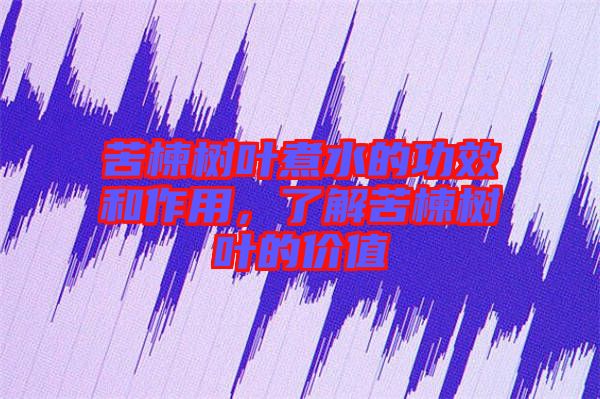 苦楝樹葉煮水的功效和作用，了解苦楝樹葉的價值