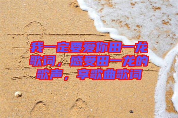 我一定要愛你田一龍歌詞，感受田一龍的歌聲，享歌曲歌詞