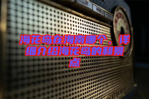 ?；◢u在海南哪個，詳細介紹?；◢u的和景點