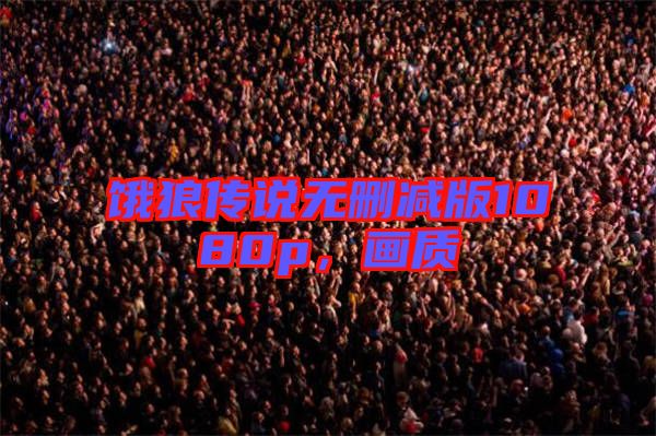 餓狼傳說無刪減版1080p，畫質(zhì)